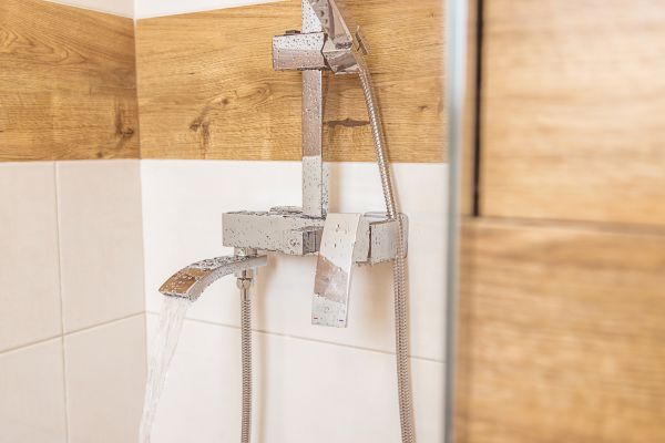 Cost of Shower Plumbing Installation in Lake Mary